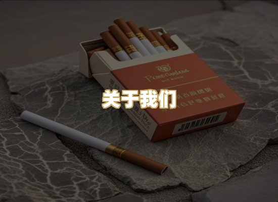 关于我们